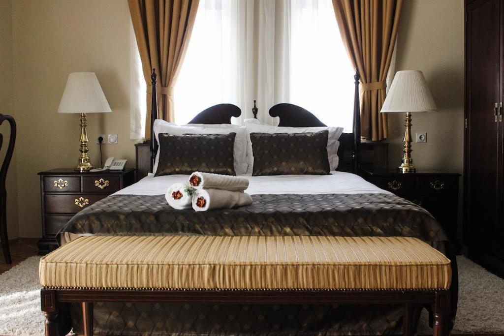 Hotel Villa Alexander Skopje Zewnętrze zdjęcie