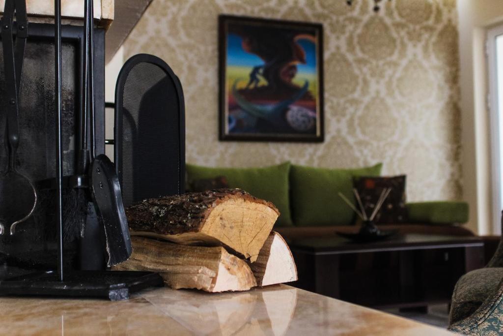 Hotel Villa Alexander Skopje Zewnętrze zdjęcie